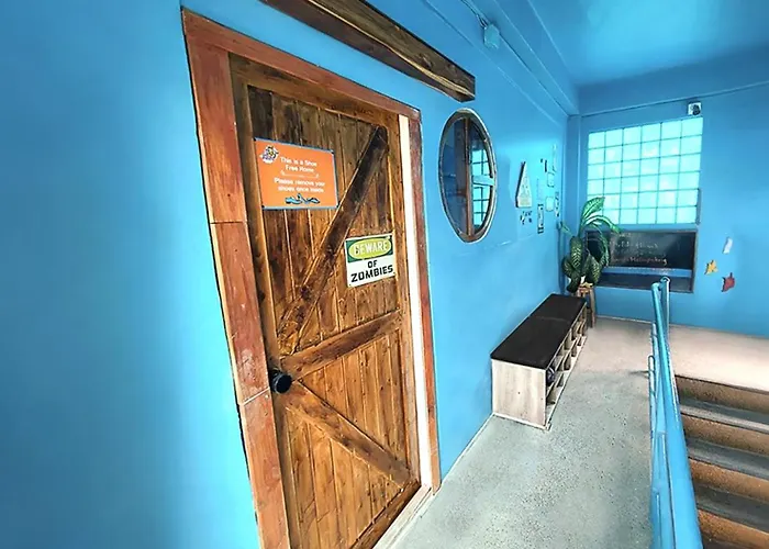 มายป่าตอง โซเชียลHostel